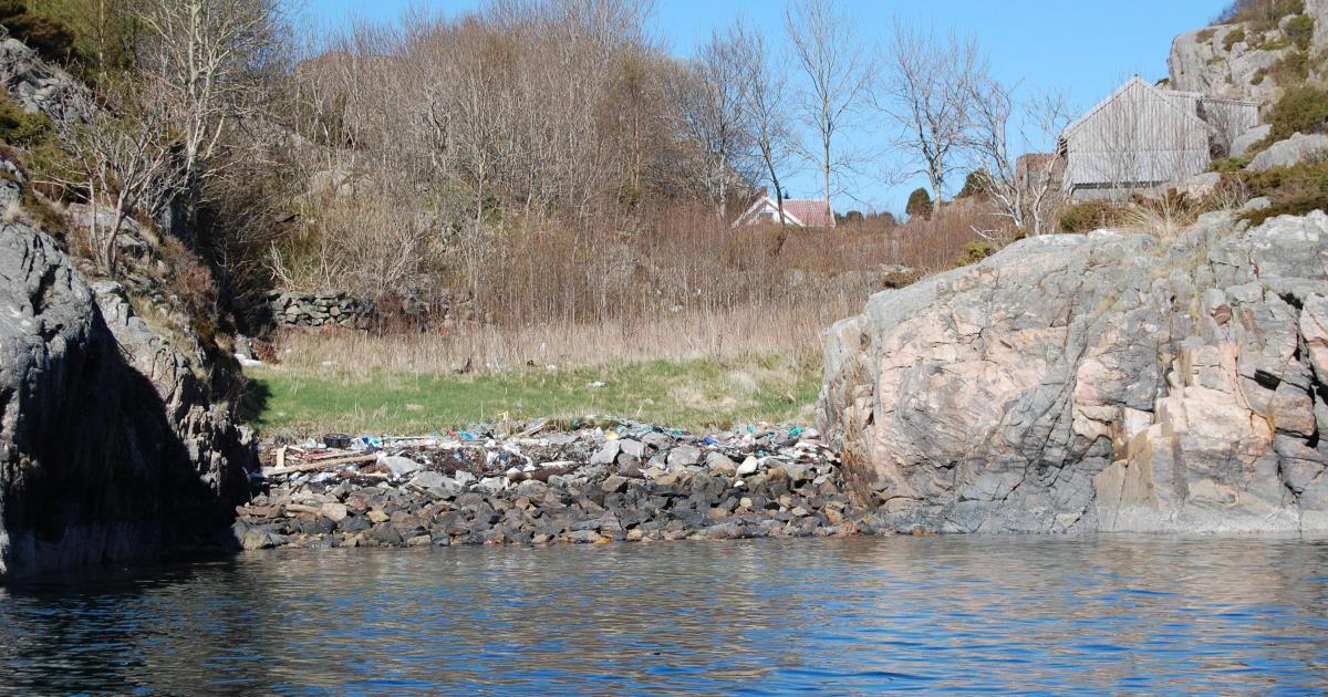 Takk til deg som ryddar! - Øygarden kommune