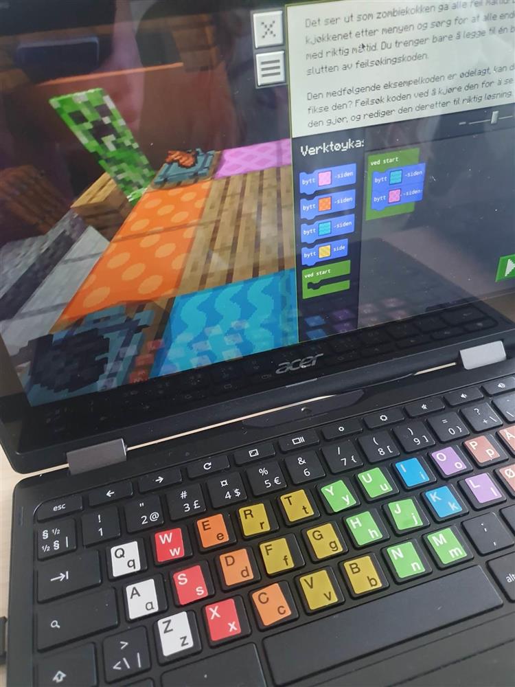 Elev jobbar med koding på PC - Klikk for stort bilete