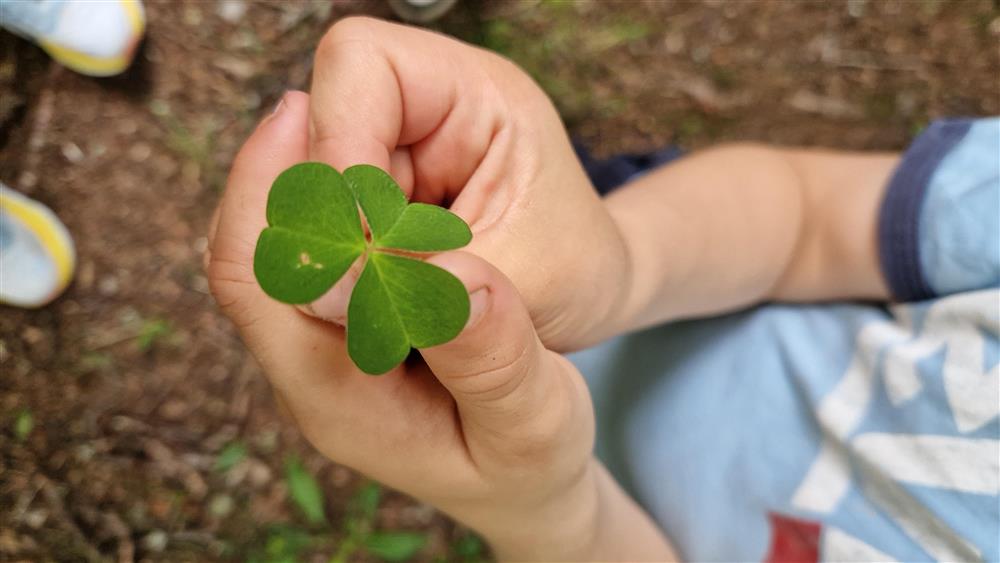 Klikk for stort bilete