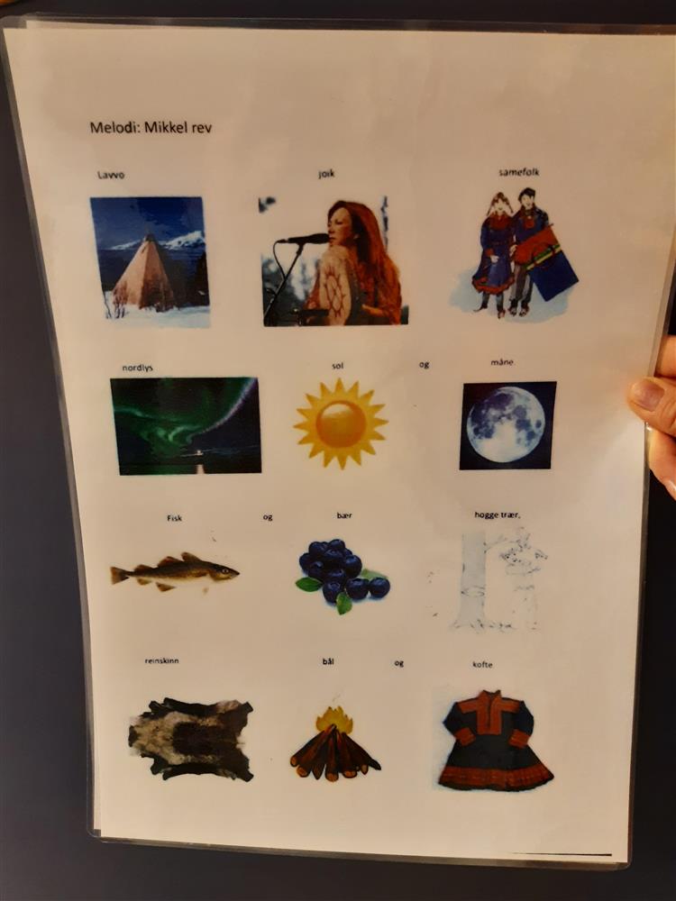 Markering av samenes nasjonaldag - Klikk for stort bilete