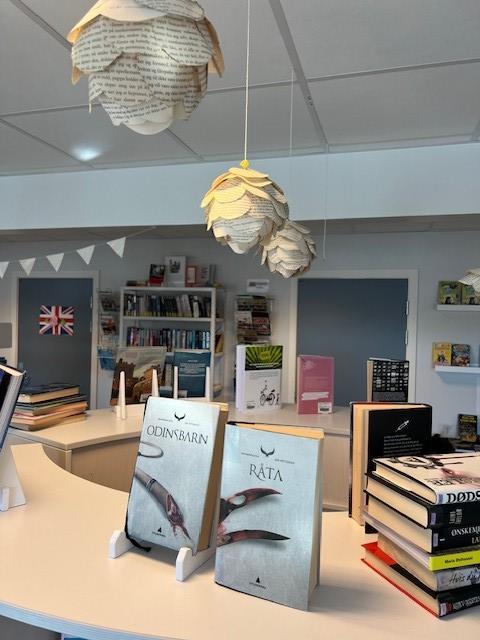 Klikk for stort bilete