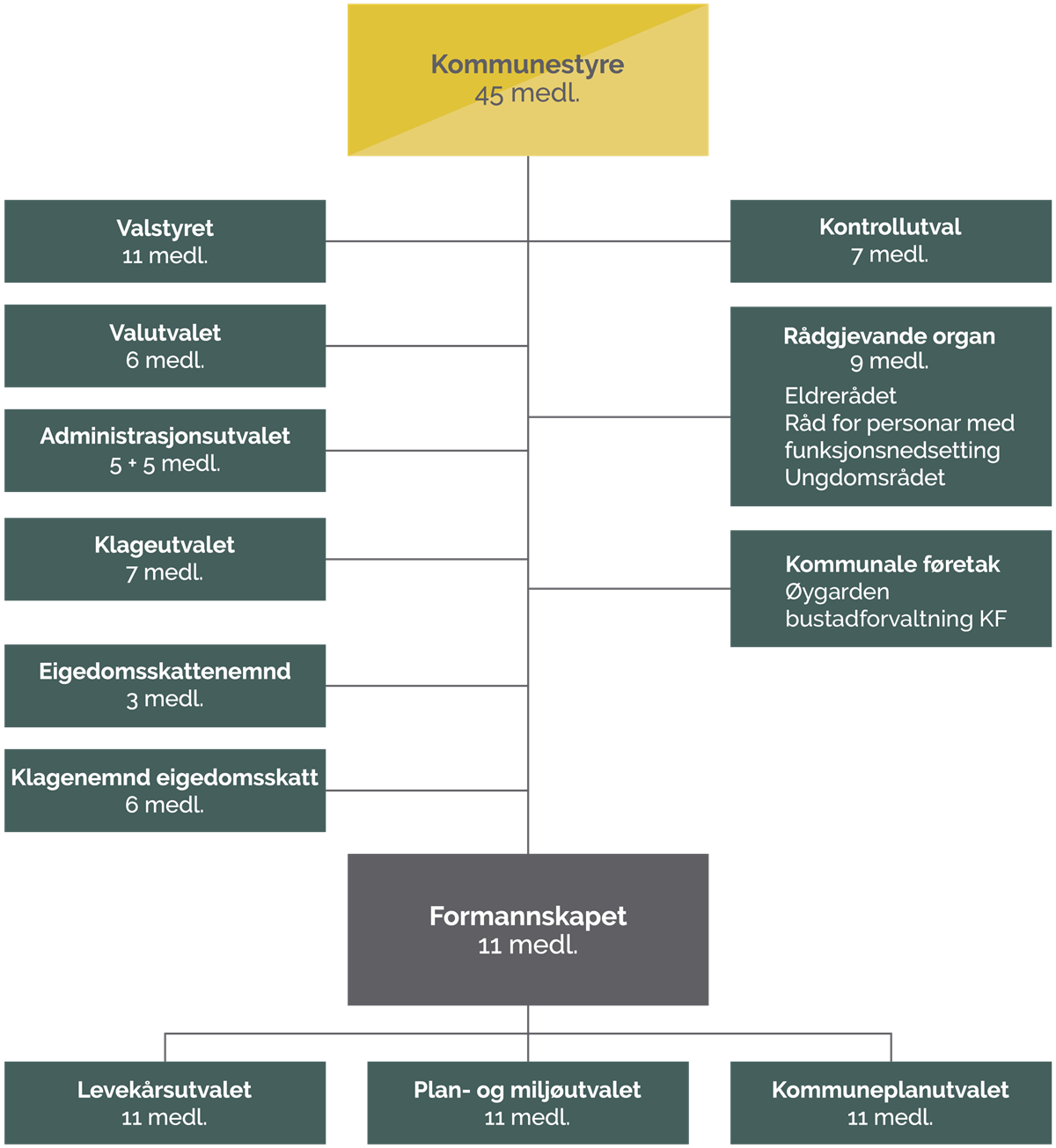 Organisasjonskart for politisk organisering  - Klikk for stort bilete