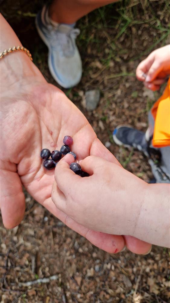 Klokkarvik barnehage - Klikk for stort bilete