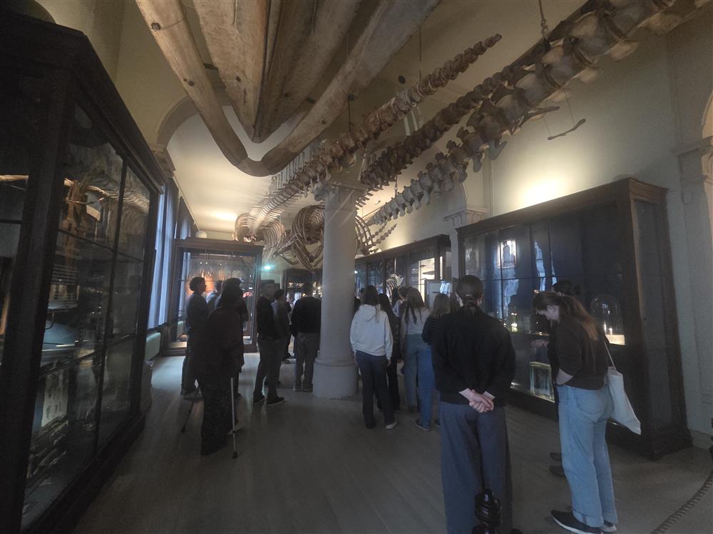 Klikk for stort bilete