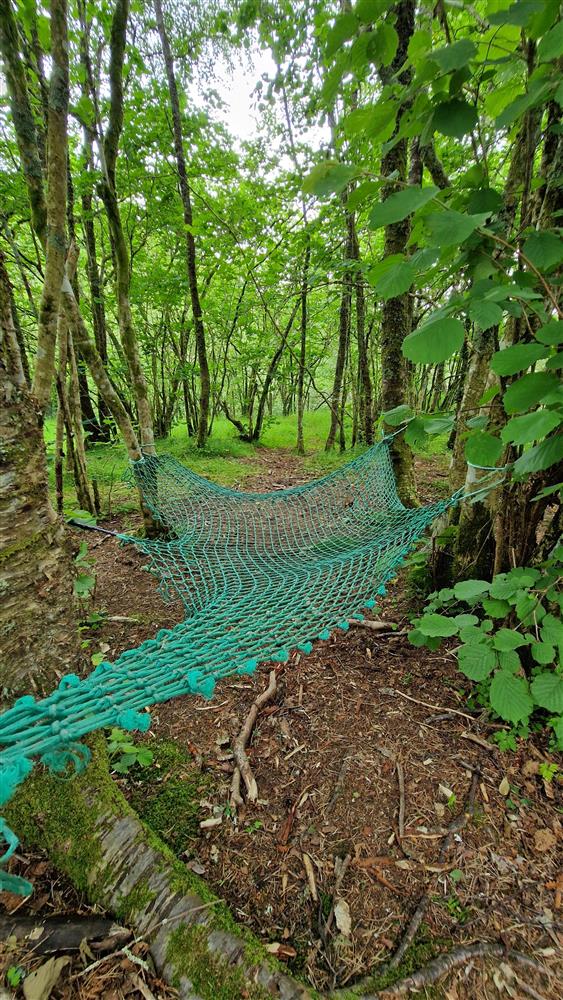 Klikk for stort bilete