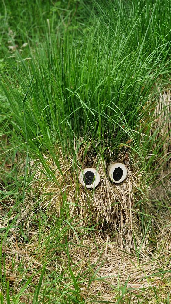 Klikk for stort bilete