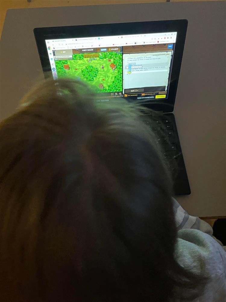 Elev jobbar med koding på PC - Klikk for stort bilete