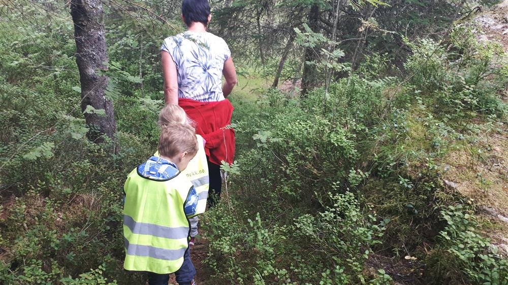 Vaksne og barn på tur i skogen - Klikk for stort bilete