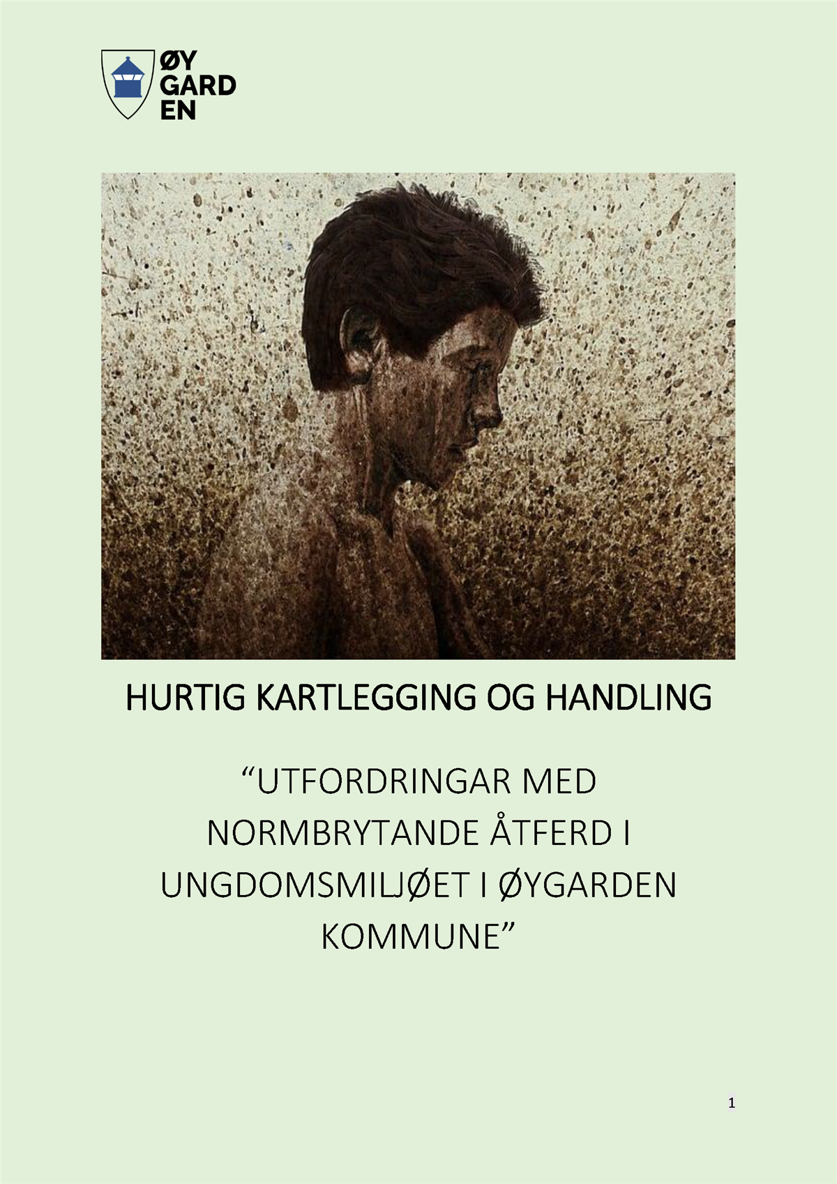 Rapport - Hurtig kartlegging og handling - Klikk for stort bilete