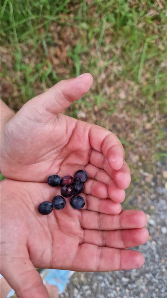 Klikk for stort bilete