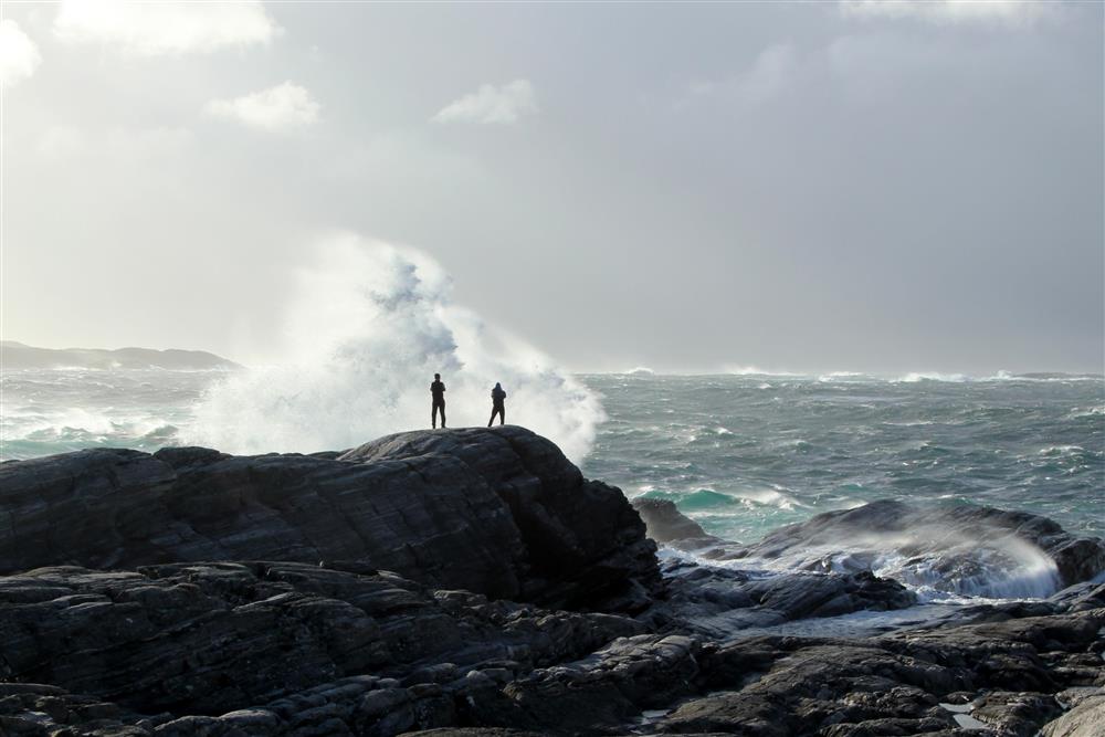 Algrøy | Foto: Heidi Reisegg Endal - Klikk for stort bilete