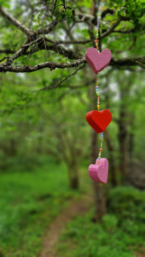 Klikk for stort bilete