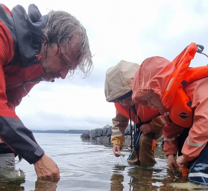 One Ocean - kunst og forskningsprosjekt for fireåringer - Klikk for stort bilete