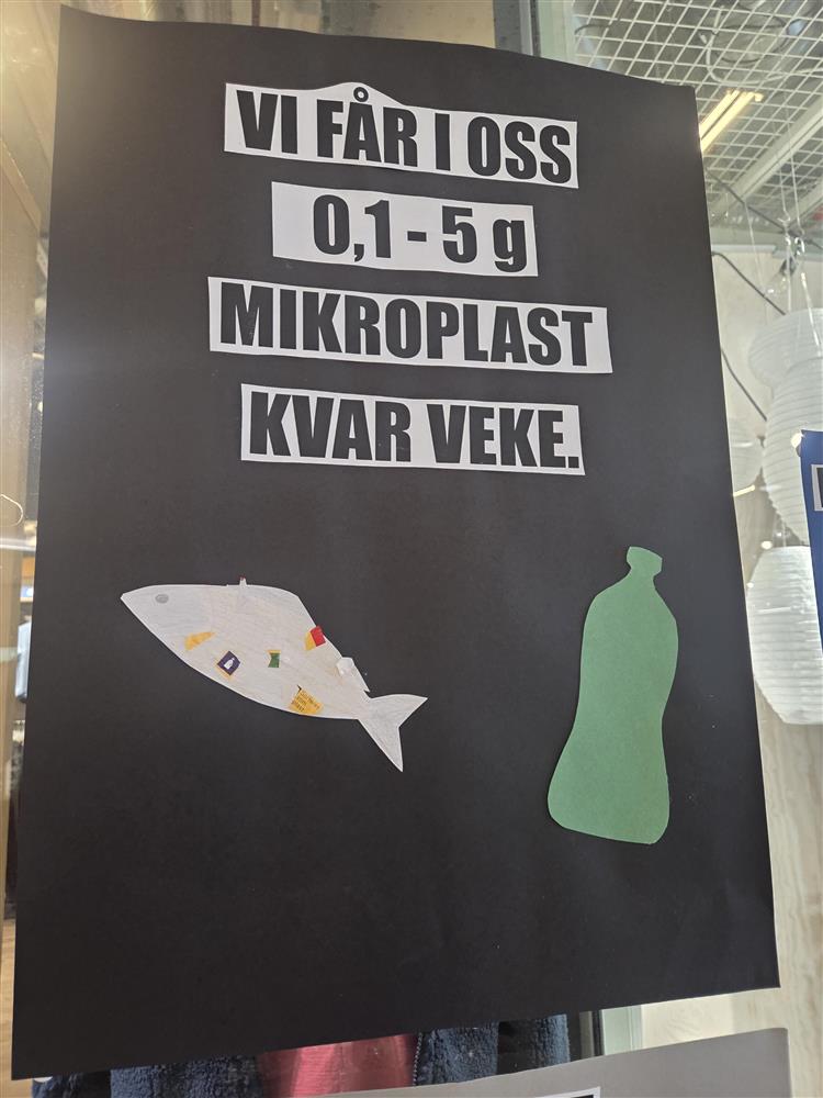 Klikk for stort bilete