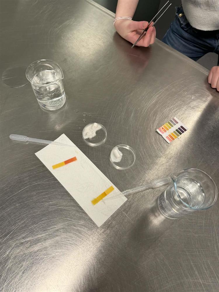 Klikk for stort bilete