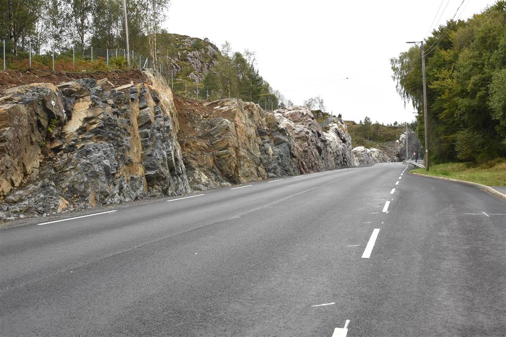 Veg - Klikk for stort bilete