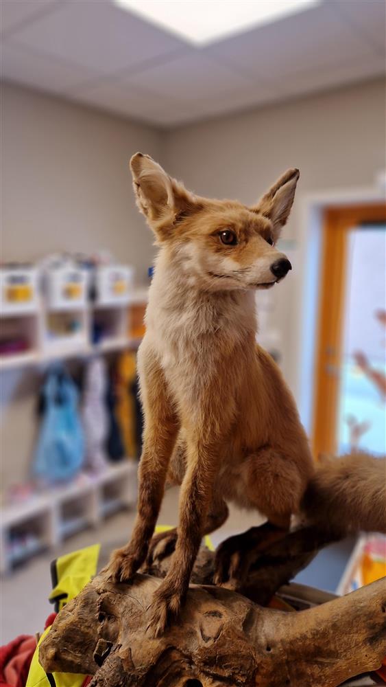 Klokkarvik barnehage - Klikk for stort bilete