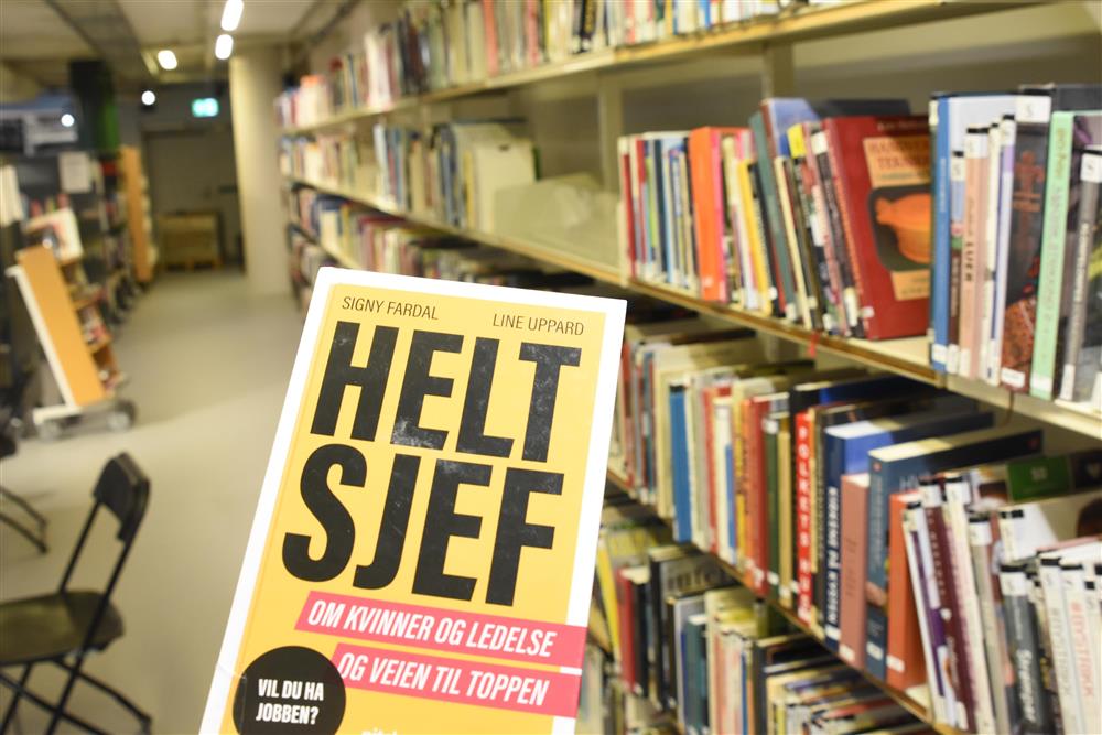 Klikk for stort bilete