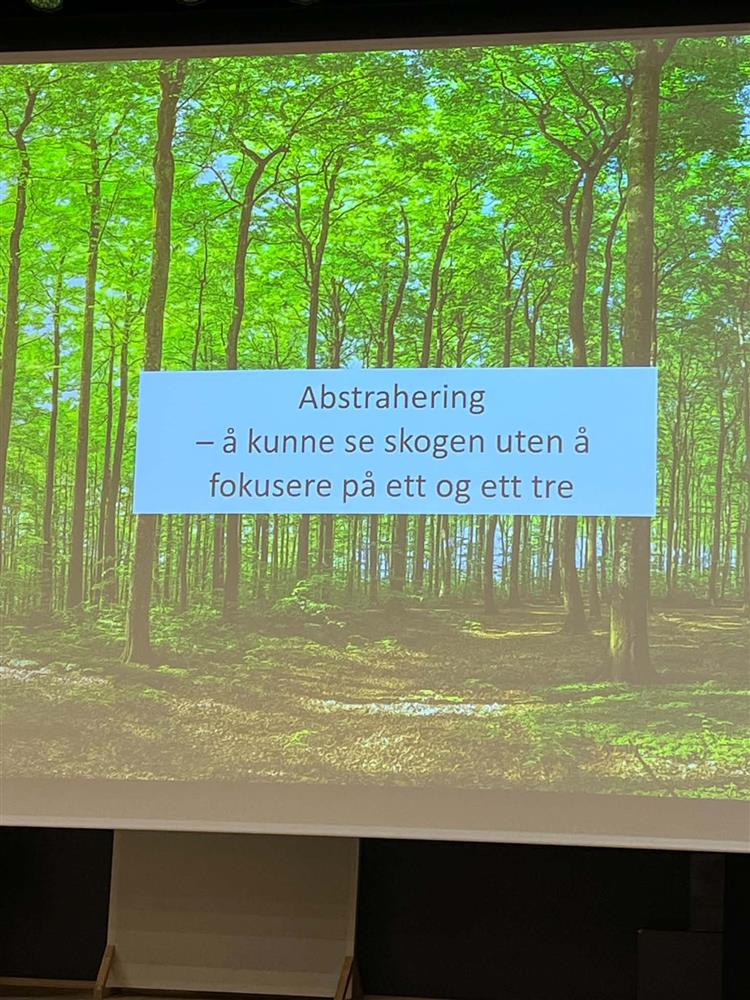 Frå samlinga - Klikk for stort bilete
