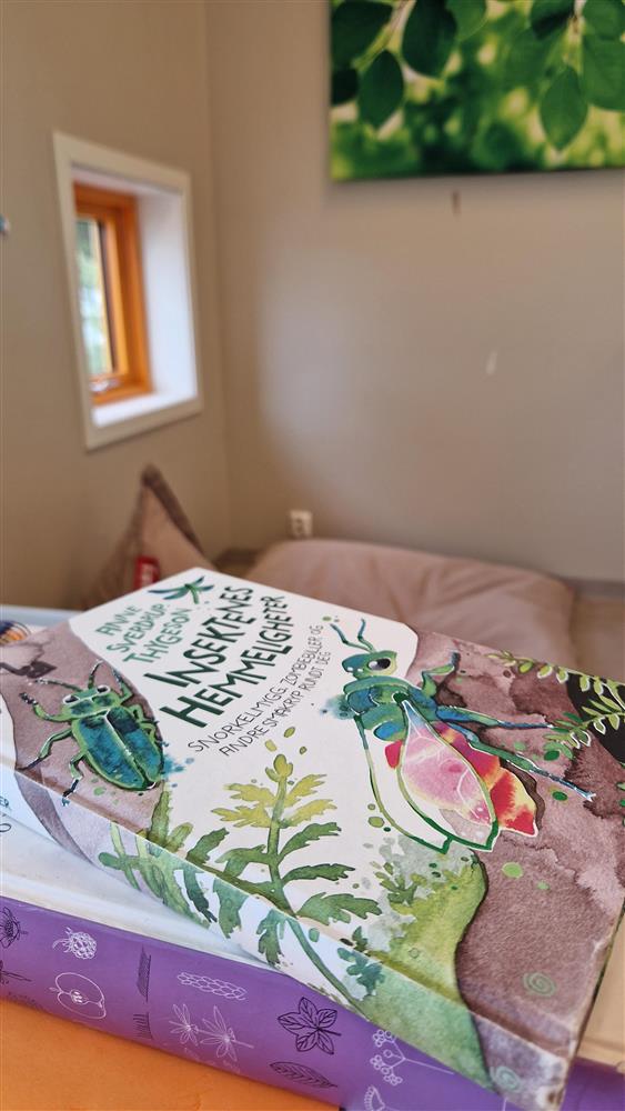 Klokkarvik barnehage - Klikk for stort bilete