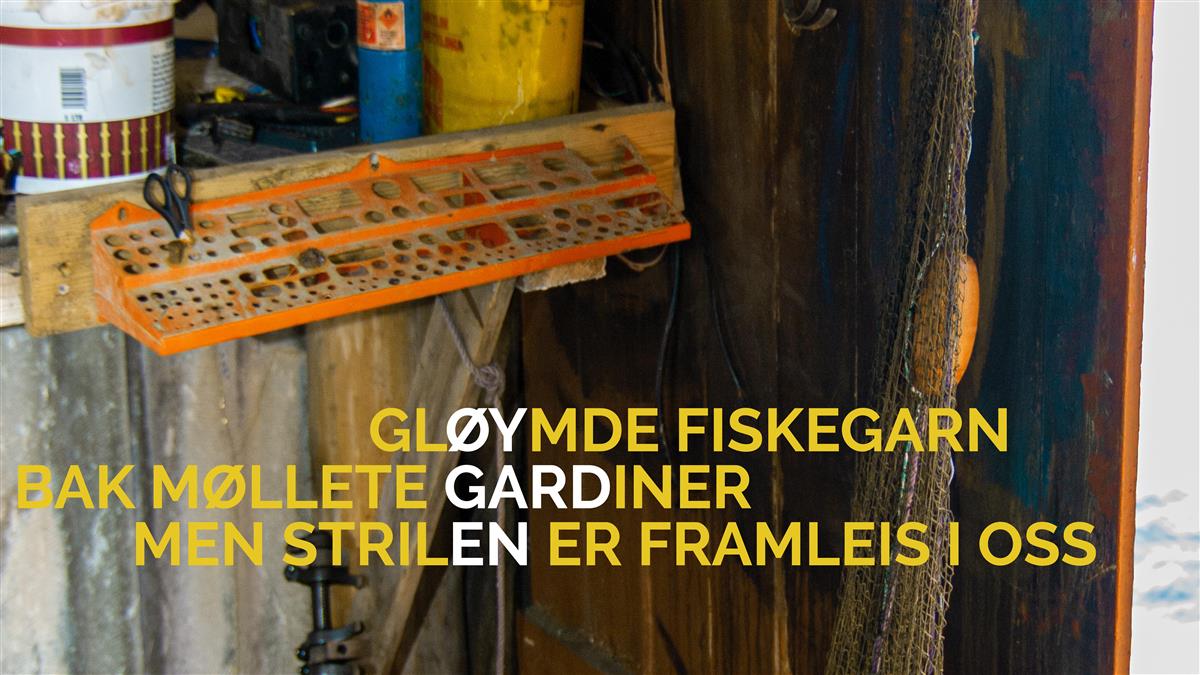 Strilahaiku - Klikk for stort bilete