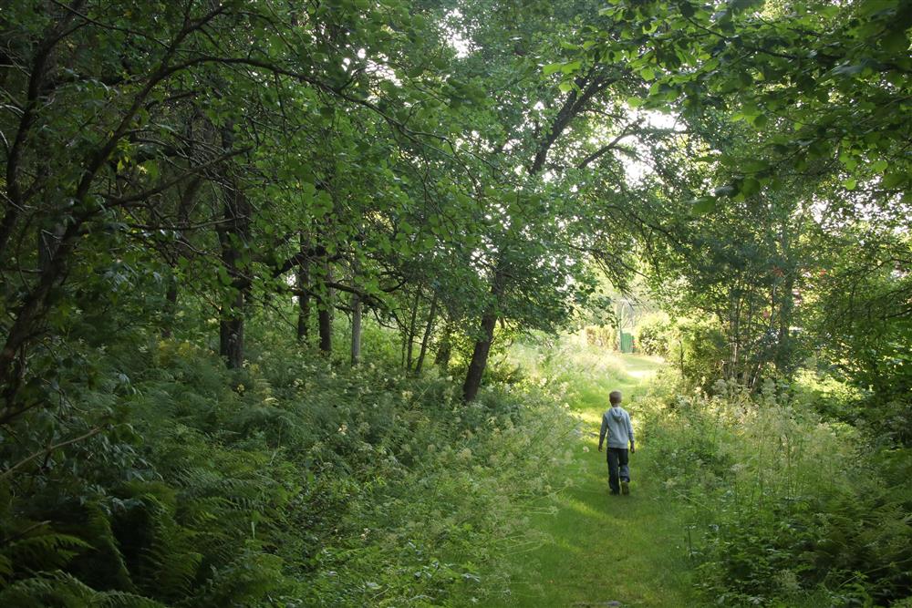 Lerøy | Foto: Heidi Reisegg Endal - Klikk for stort bilete