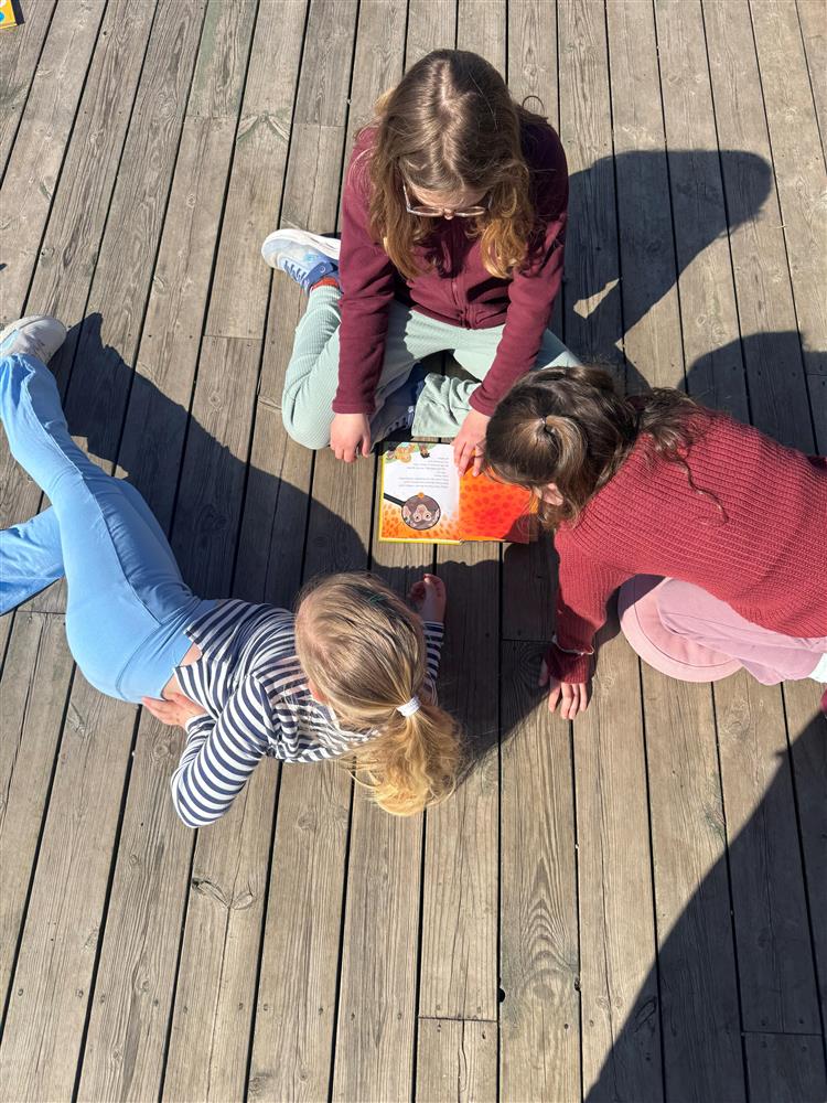 Klikk for stort bilete