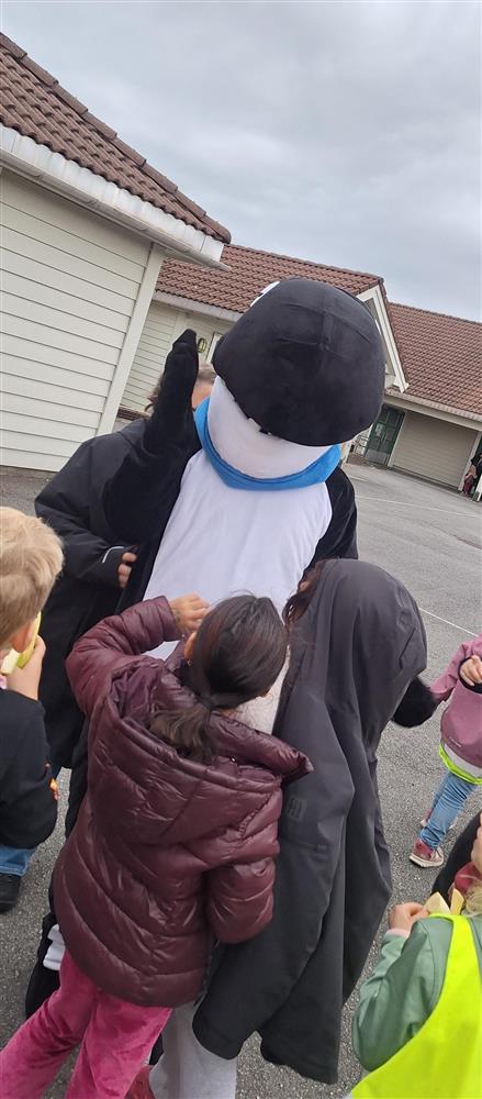 Klikk for stort bilete