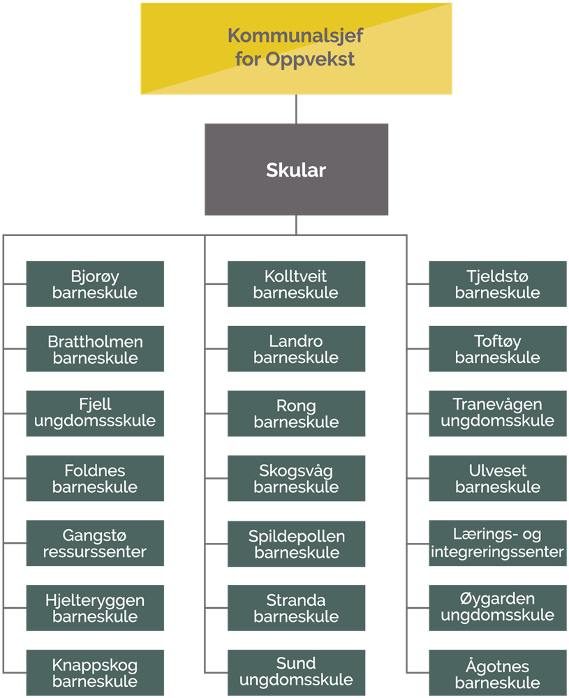 Organisasjonskart for skular - Klikk for stort bilete