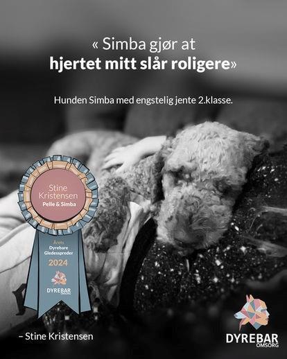 « Simba gjør at hjertet mitt slår roligere» Hunden Simba med engstelig jente 2.klasse. - Klikk for stort bilete