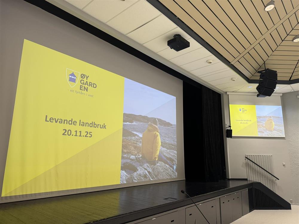 Klikk for stort bilete