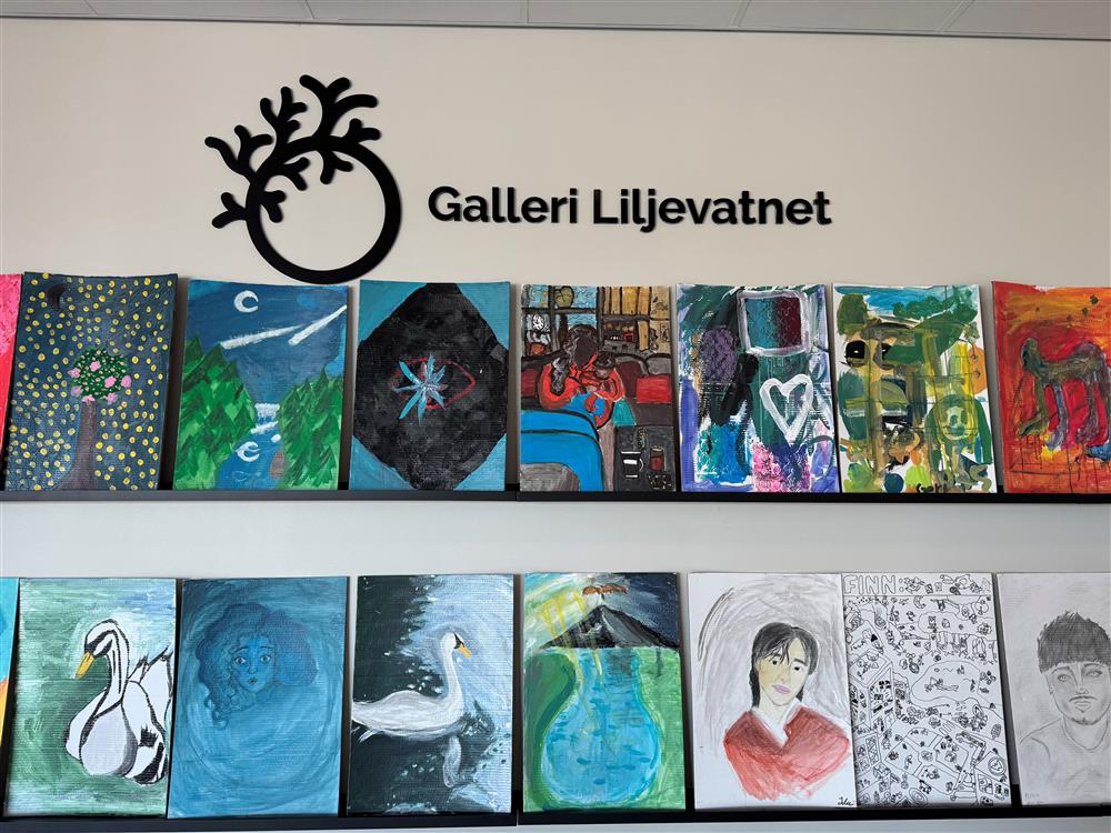 Elevutstilling på Galleri Liljevatnet - Klikk for stort bilete