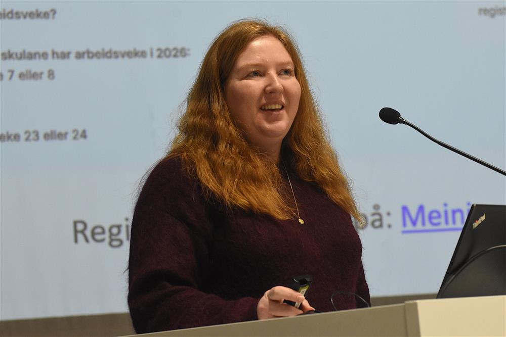 Klikk for stort bilete