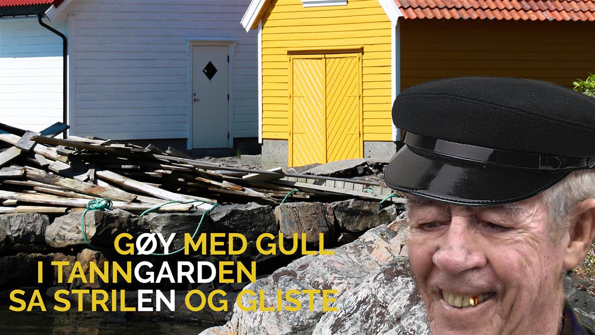 Strilahaiku - Klikk for stort bilete