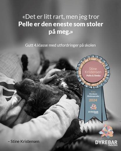 «Det er litt rart, men jeg tror Pelle er den eneste som stoler på meg.» Gutt 4.klasse med utfordringer på skolen - Klikk for stort bilete