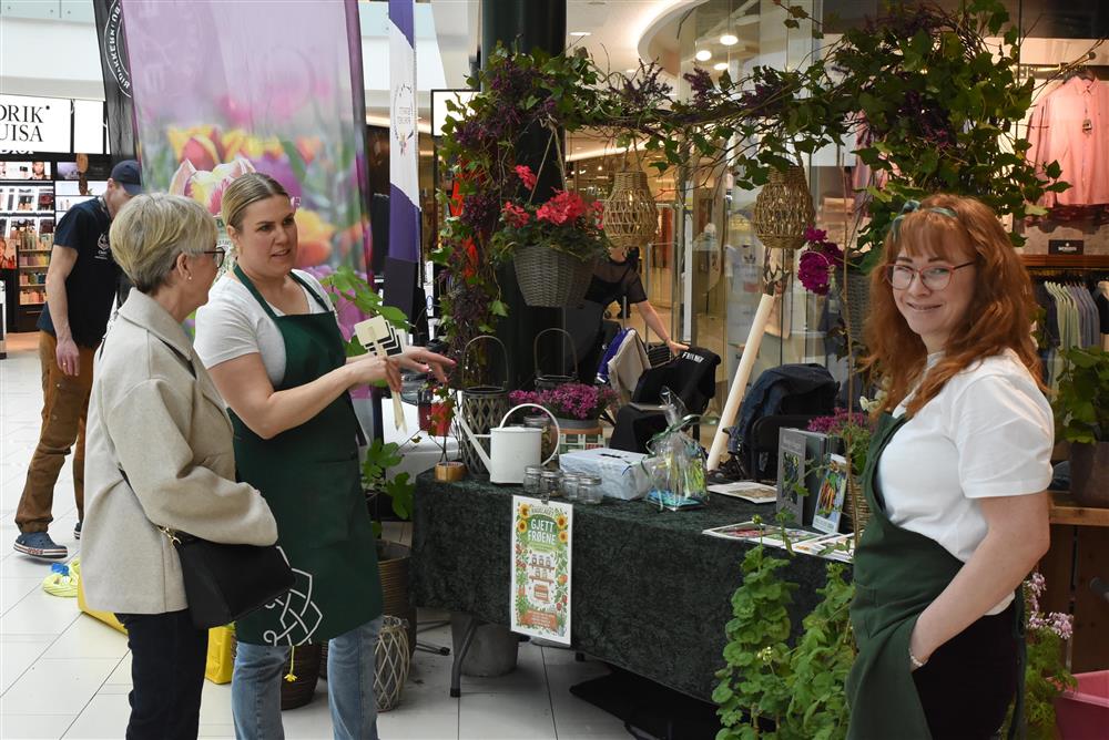 Klikk for stort bilete