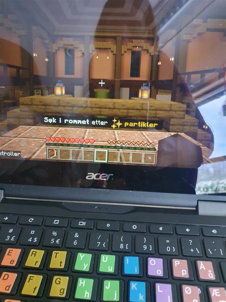 Elev jobbar med koding på PC - Klikk for stort bilete