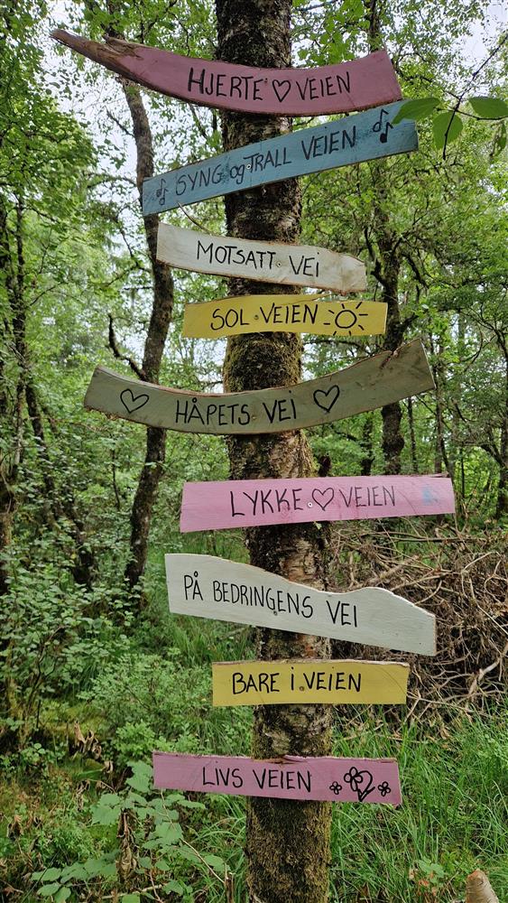 Klikk for stort bilete