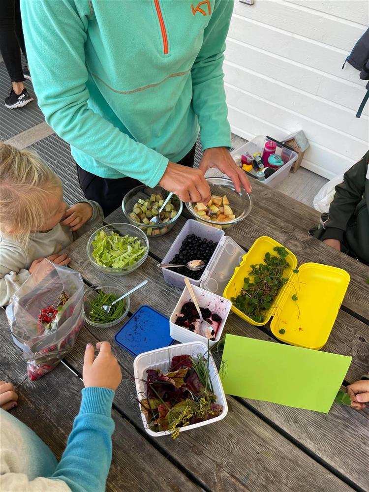 Ulike smaksopplevingar - Klikk for stort bilete