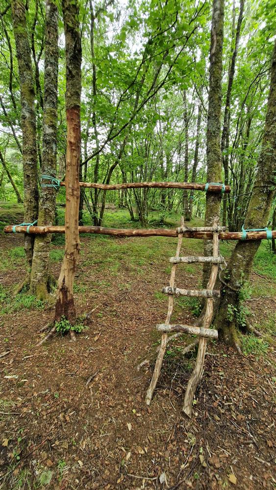 Klikk for stort bilete