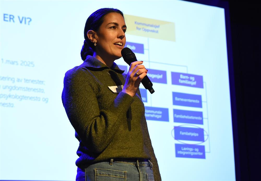 Klikk for stort bilete